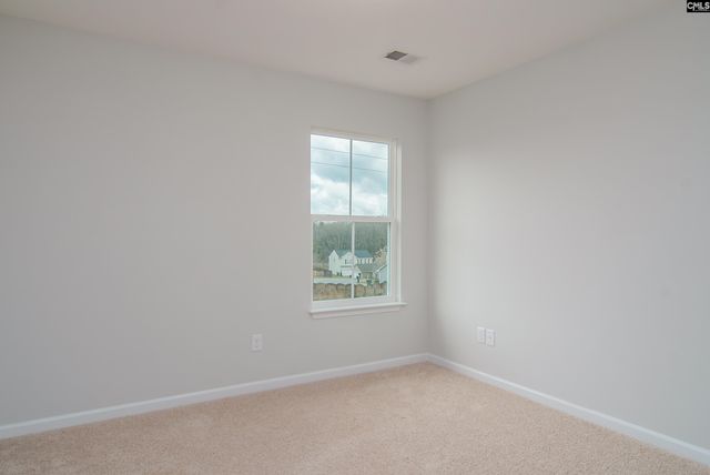 631 Thunder Gulch Avenue, Lexington, SC 29073