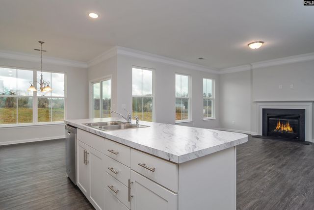 631 Thunder Gulch Avenue, Lexington, SC 29073
