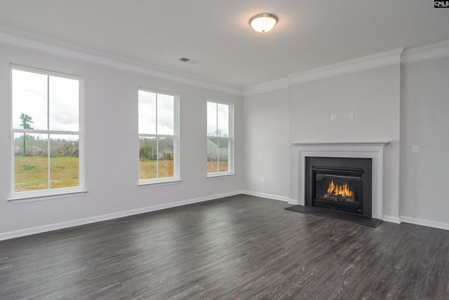 631 Thunder Gulch Avenue, Lexington, SC 29073