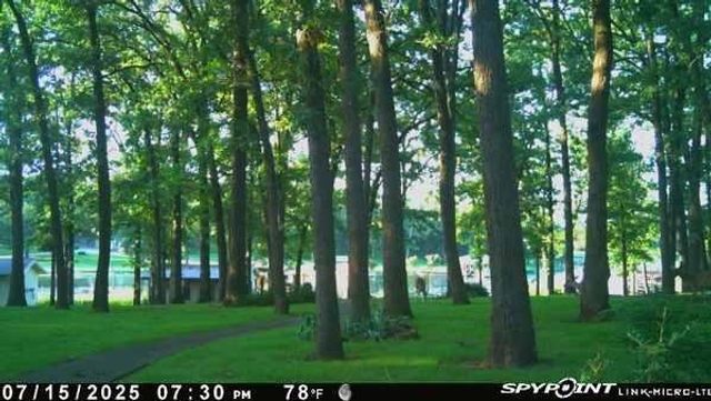 395 County Road 1780 Road, Yantis, TX 75497