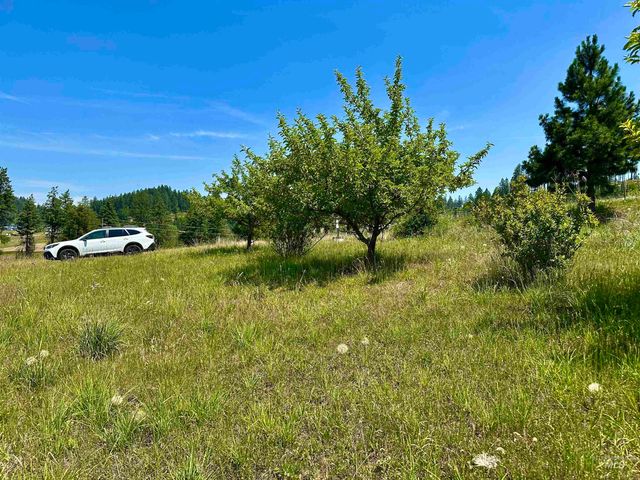 216 Friendship Lane, Kamiah, ID 83536