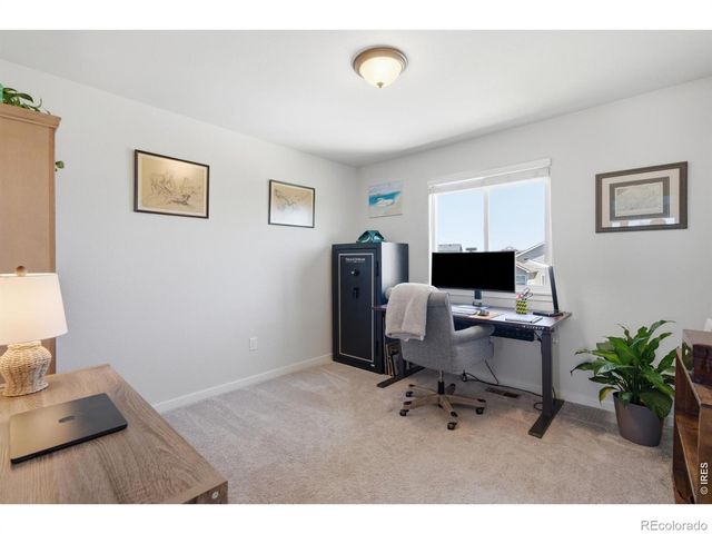 7136 Brookvalley Court, Timnath, CO 80547