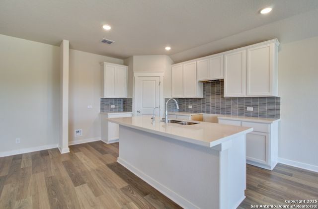 2506 White Daisy Hill, Converse, TX 78109