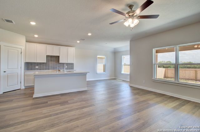 2506 White Daisy Hill, Converse, TX 78109