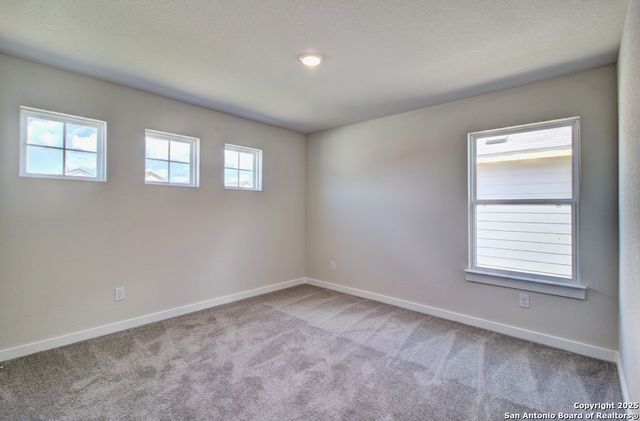 2506 White Daisy Hill, Converse, TX 78109