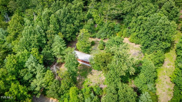 Tbd Tank Road, Butler, TN 37640