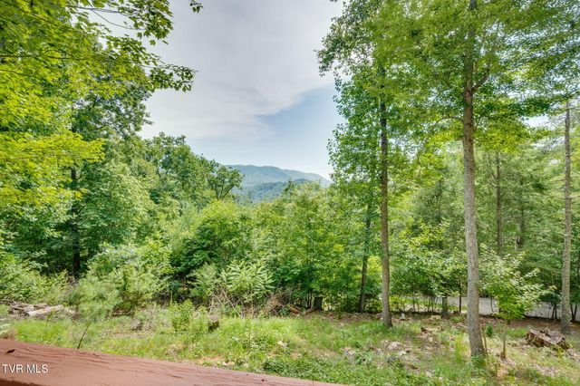 Tbd Tank Road, Butler, TN 37640