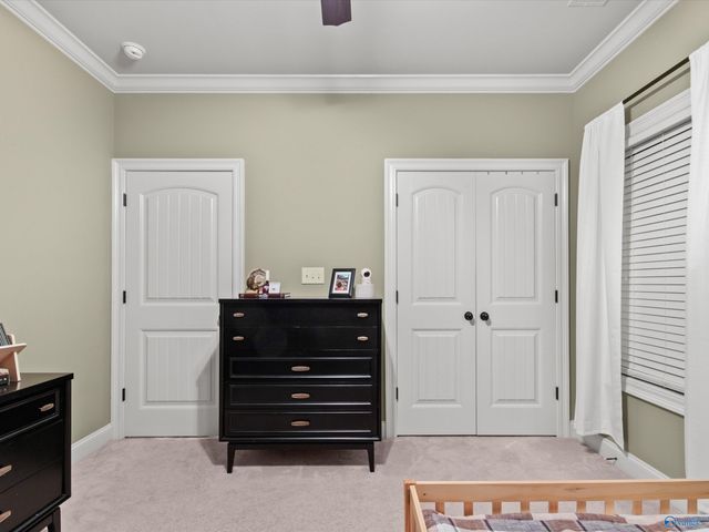 22945 Oakdale Ridge Lane, Athens, AL 35613