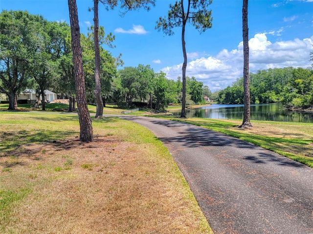 898 CYPRESS LAKEVIEW COURT, Tarpon Springs, FL 34688