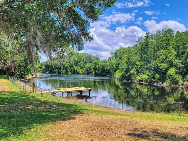 898 CYPRESS LAKEVIEW COURT, Tarpon Springs, FL 34688