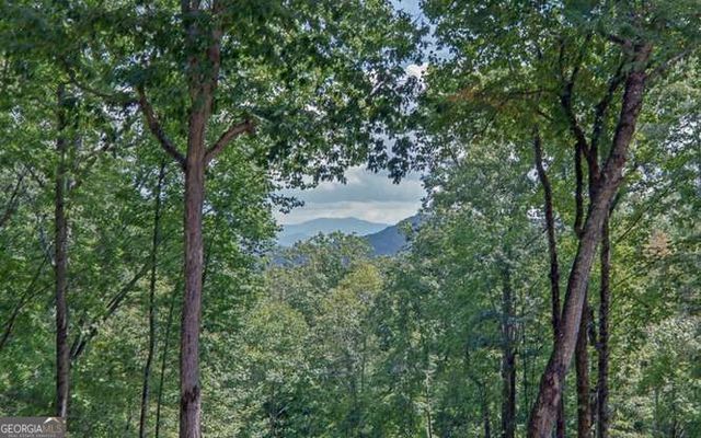 581 Ivy Knob Lane, Hayesville, NC 28904