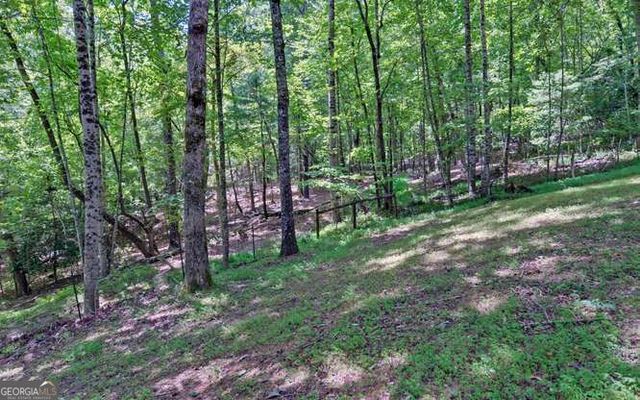 581 Ivy Knob Lane, Hayesville, NC 28904
