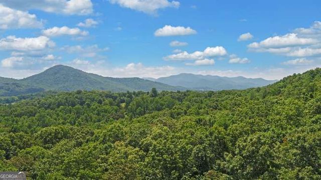 581 Ivy Knob Lane, Hayesville, NC 28904