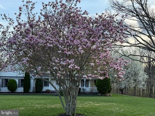 4430 EMBASSY DR, Sykesville, MD 21784