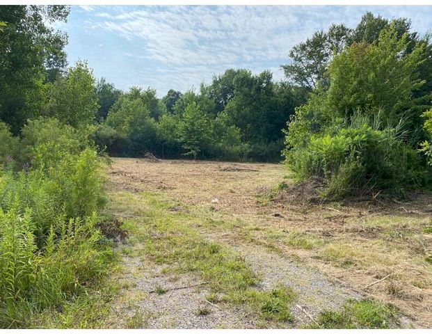 12608 Rawsonville Road, Belleville, MI 48111