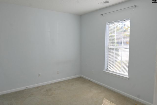 110 Haynesworth Place, Lexington, SC 29072