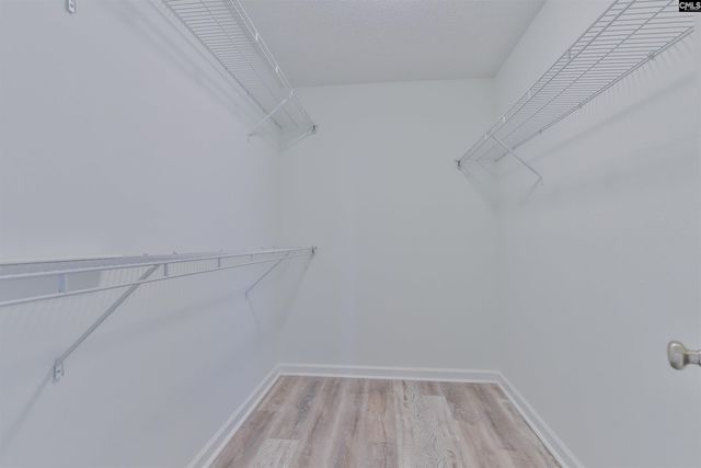 241 Hunters Mill Drive, West Columbia, SC 29170