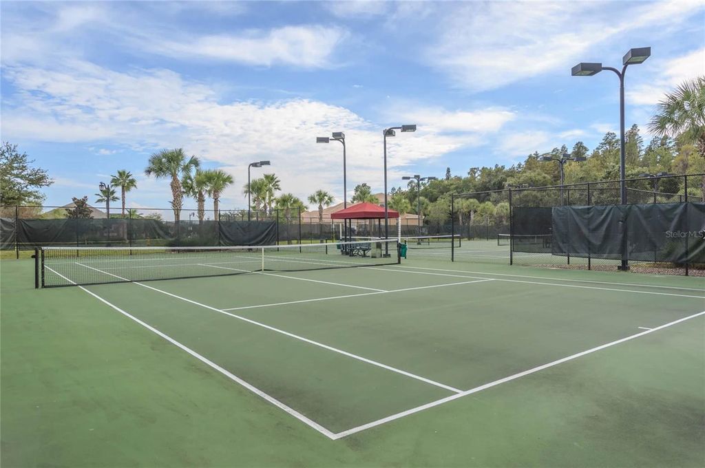 Image 59 of property listing at 20105 EAGLES LANDING WAY, Tampa, FL 33647
