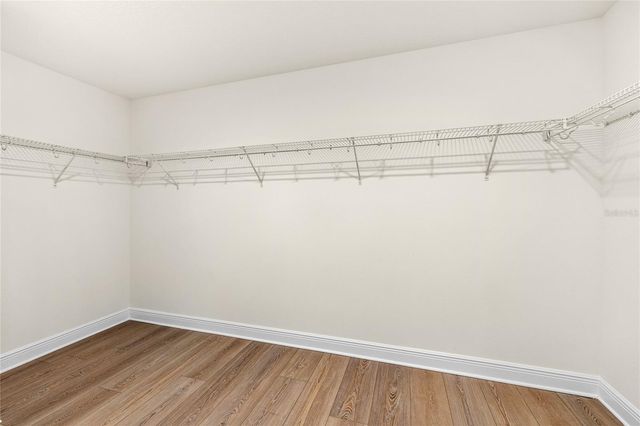 2985 WATER CLOVER COURT, Apopka, FL 32712