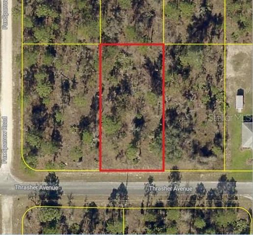 0 THRASHER AVENUE, Weeki Wachee, FL 34614