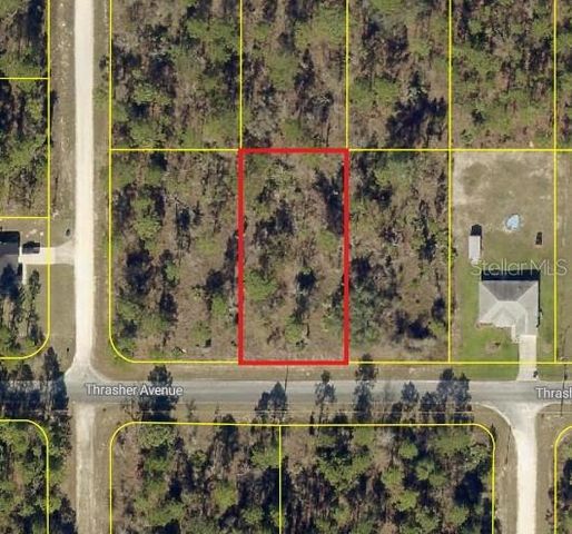 0 THRASHER AVENUE, Weeki Wachee, FL 34614