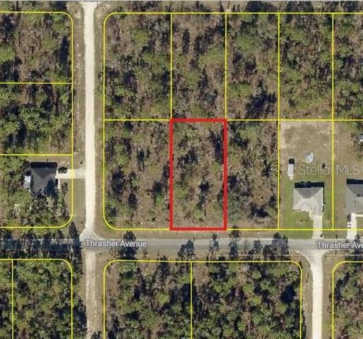 0 THRASHER AVENUE, Weeki Wachee, FL 34614