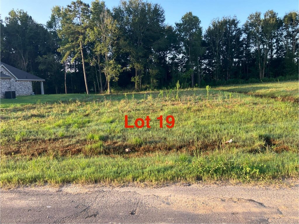 1081 Tarkington Timbers Drive, Cleveland, TX 77327