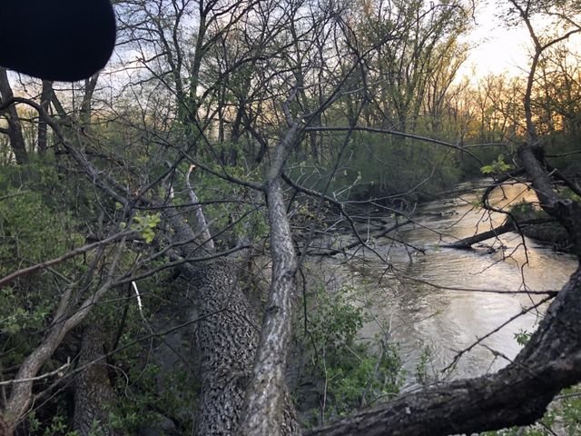 2233 Cedar Park Court SE, Rochester, MN 55904