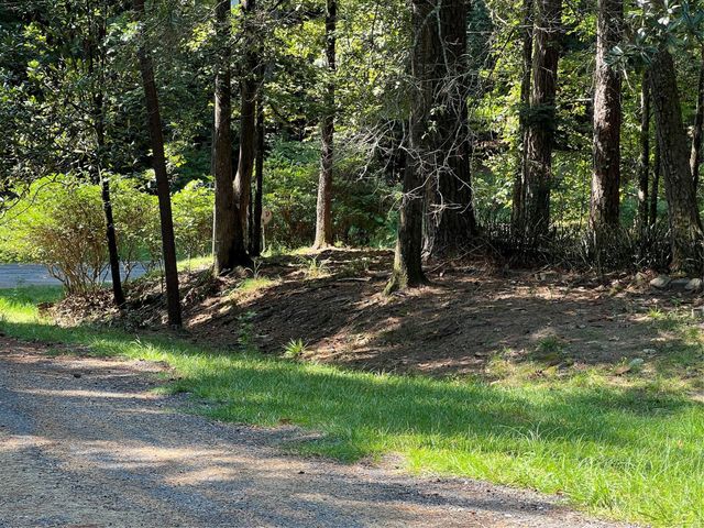 TBD Lakeway Circle, Coldspring, TX 77331