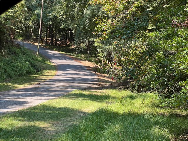 TBD Lakeway Circle, Coldspring, TX 77331