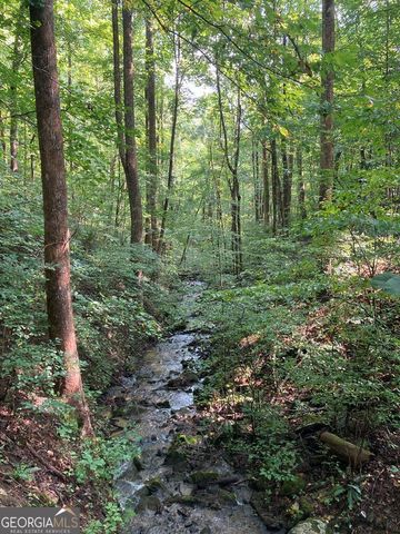 1127 Burch Branch Road, Hiawassee, GA 30546