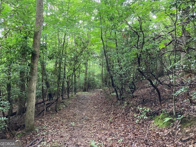 1127 Burch Branch Road, Hiawassee, GA 30546