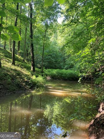 1127 Burch Branch Road, Hiawassee, GA 30546