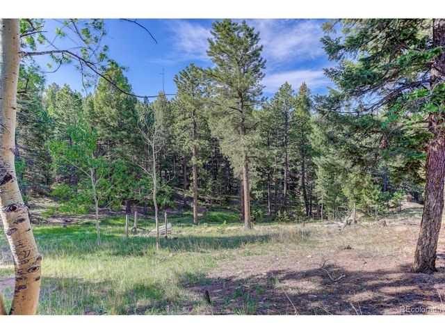 4 Honeysuckle Rd, Woodland Park, CO 80863