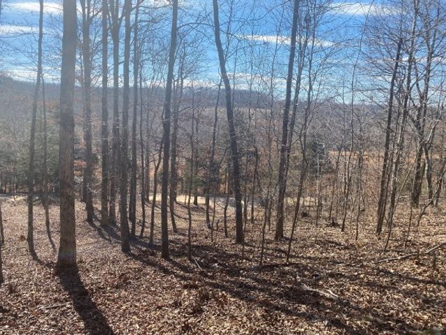 4200 Big Richland Creek Rd, E, Mc Ewen, TN 37101