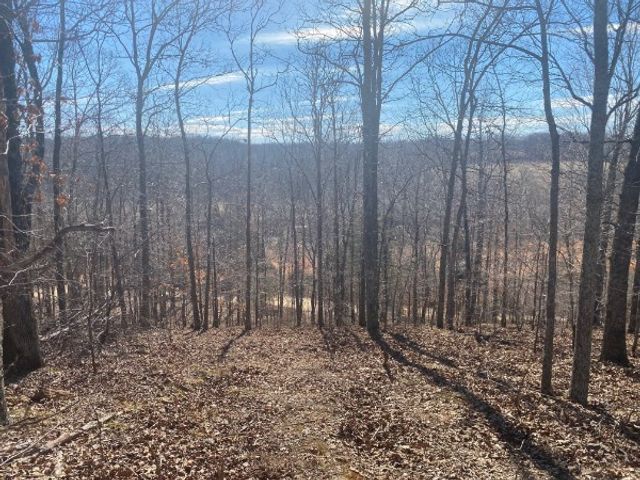 4200 Big Richland Creek Rd, E, Mc Ewen, TN 37101