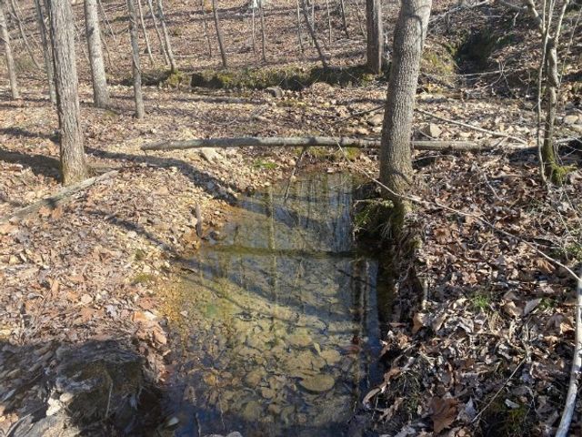 4200 Big Richland Creek Rd, E, Mc Ewen, TN 37101