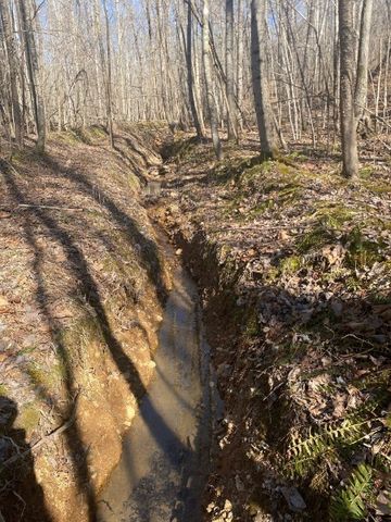 4200 Big Richland Creek Rd, E, Mc Ewen, TN 37101