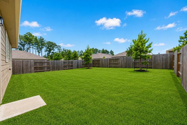 338 Shady Cedar Hill Lane, Conroe, TX 77378