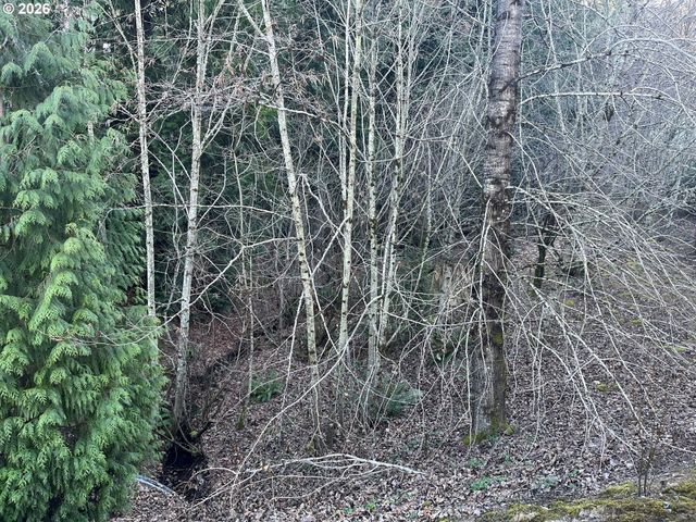 242 Se 29TH St, Gresham, OR 97080