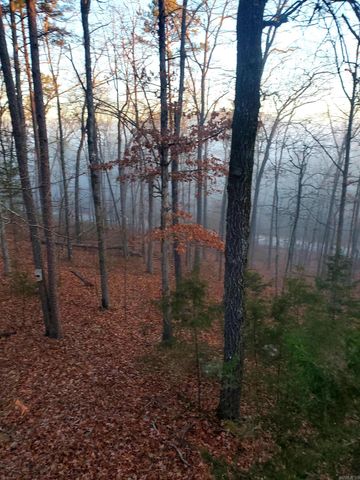 113 Sky King Drive, Fairfield Bay, AR 72088