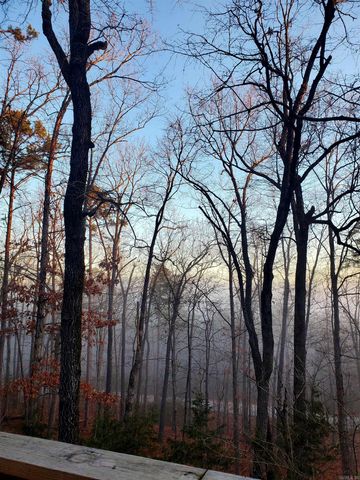 113 Sky King Drive, Fairfield Bay, AR 72088