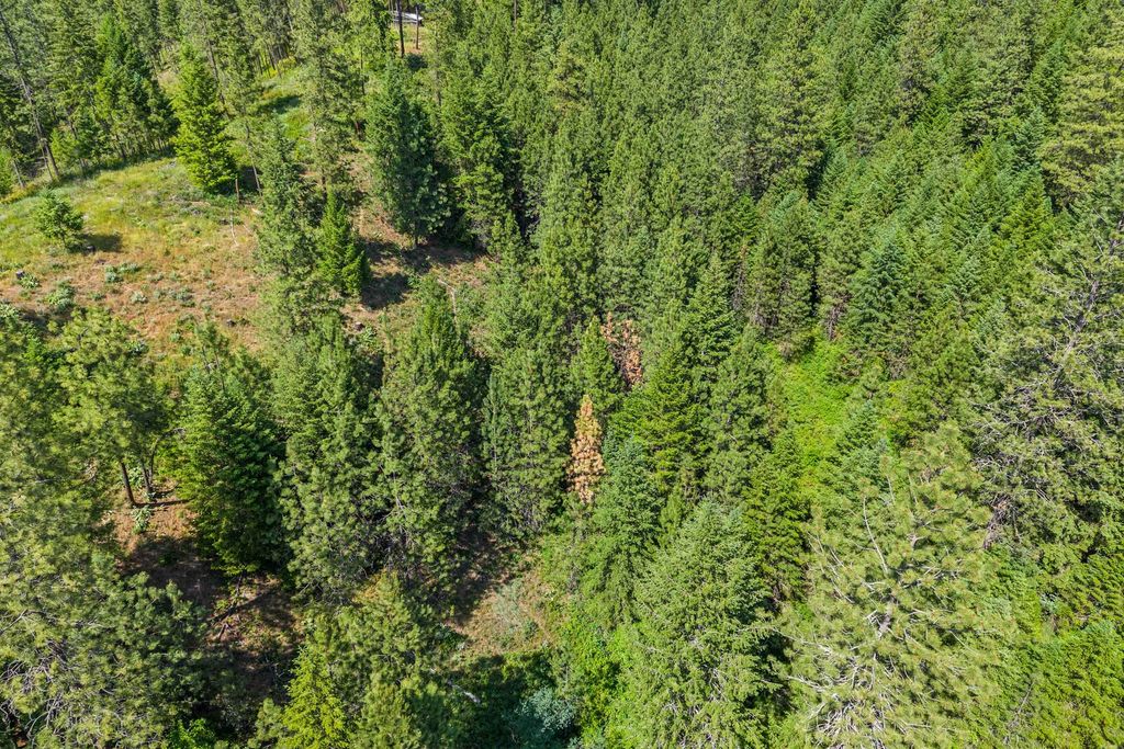 5491 Sailor Rd, Deer Park, WA 99006 photo 15