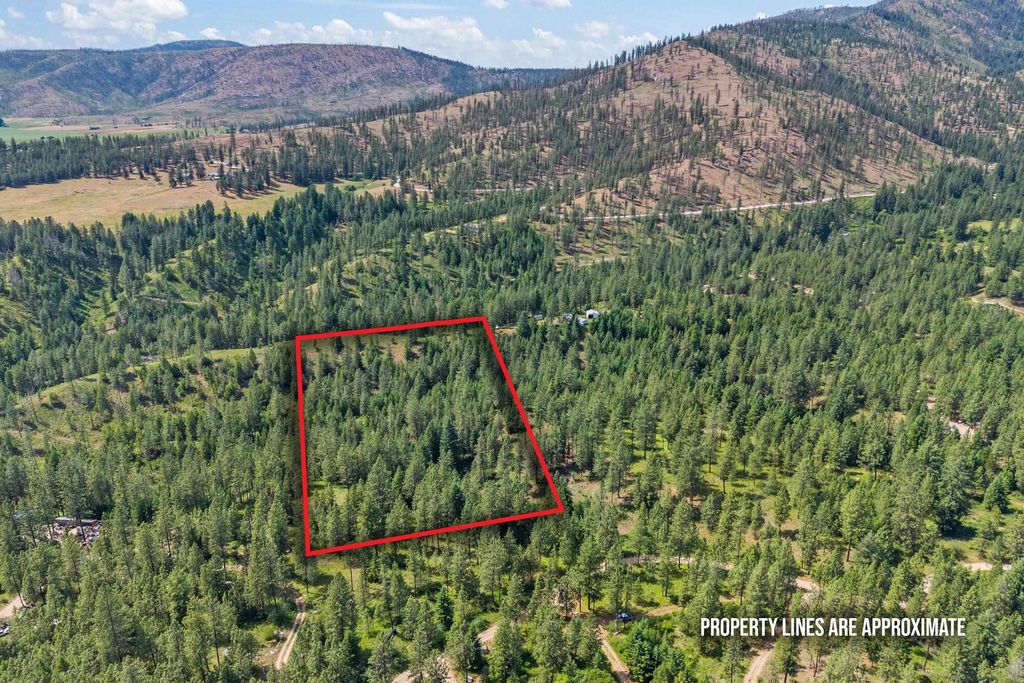 5491 Sailor Rd, Deer Park, WA 99006 photo 3