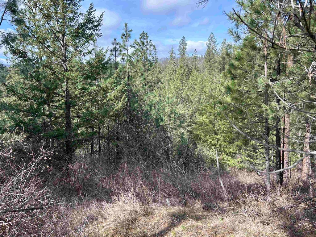 5491 Sailor Rd, Deer Park, WA 99006 photo 23