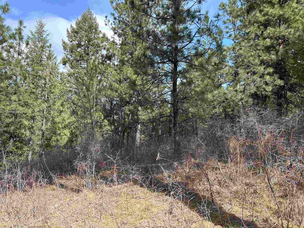 5491 Sailor Rd, Deer Park, WA 99006 photo 25