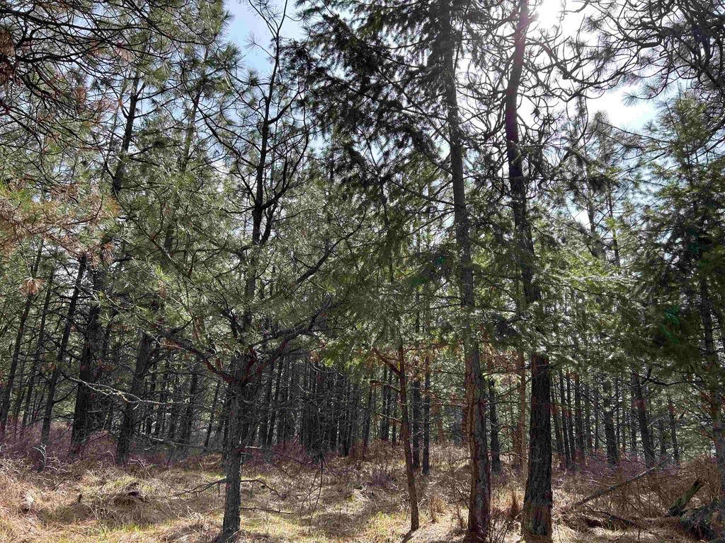 5491 Sailor Rd, Deer Park, WA 99006 photo 26