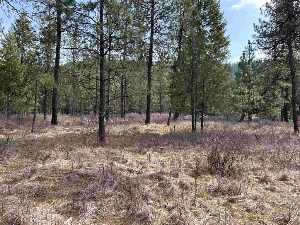 5491 Sailor Rd, Deer Park, WA 99006 photo 28