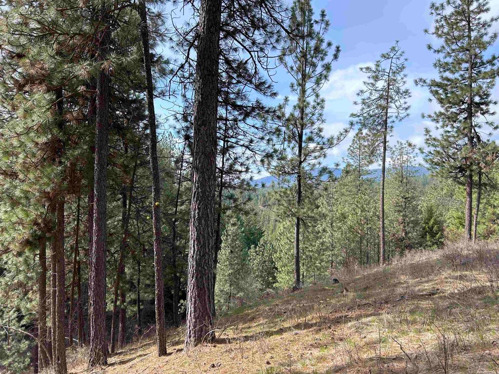 5491 Sailor Rd, Deer Park, WA 99006 photo 29