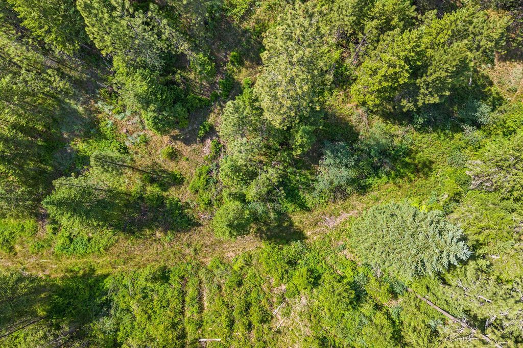 5491 Sailor Rd, Deer Park, WA 99006 photo 6